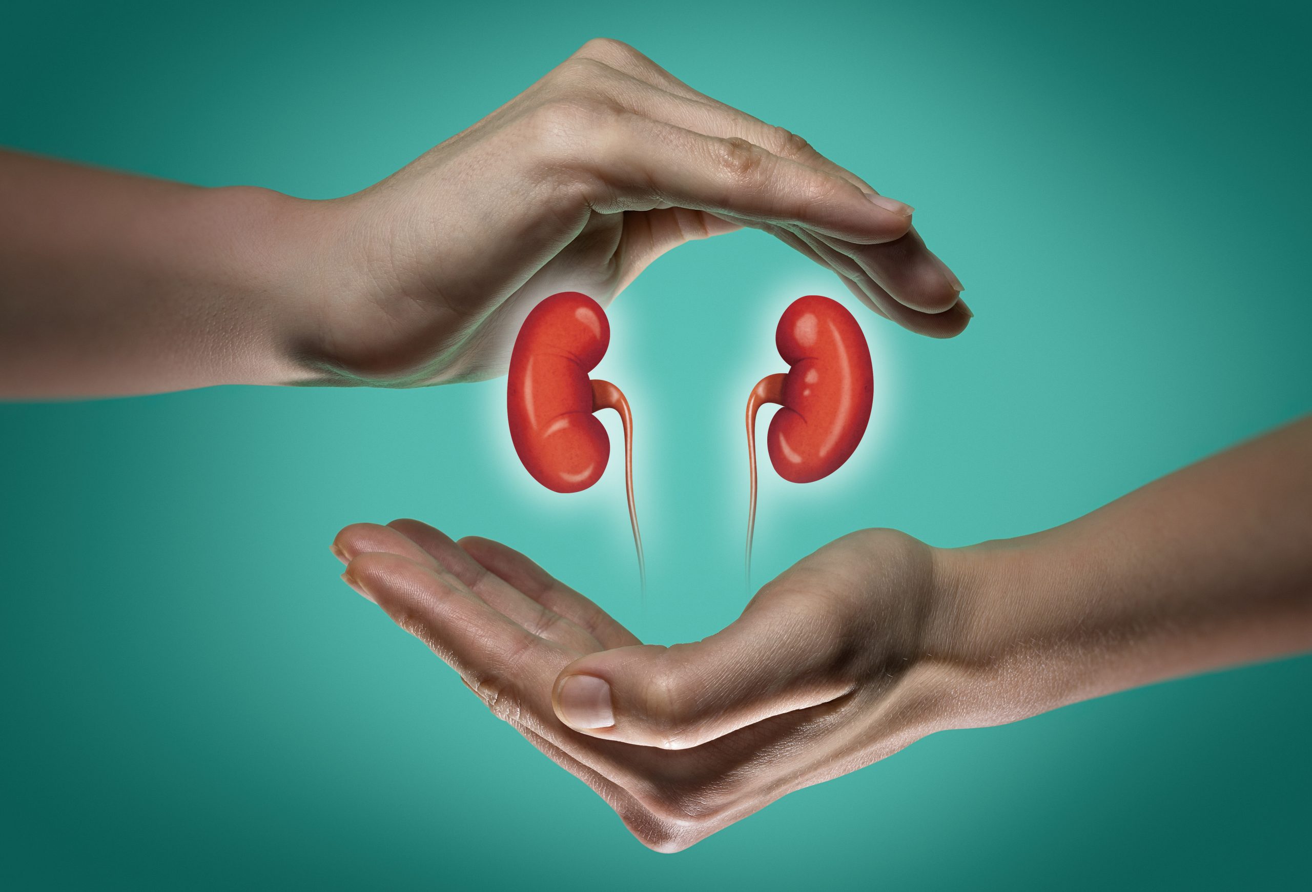 best hospital for kidney transplant in India